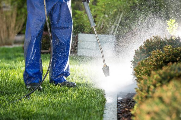 Cost of Curb Cleaning in Kent