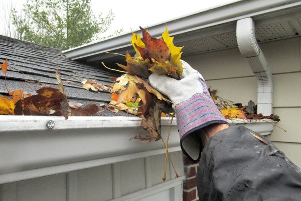 Cost of Eaves Cleaning in Kent